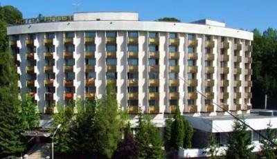 Restaurant Faget Sovata