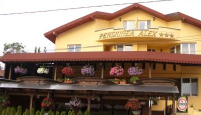 Restaurant Pizzerie Alex Tulcea