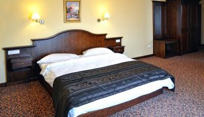 Hotel Leul de Aur Sebes