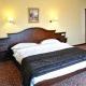 Hotel Leul de Aur Sebes