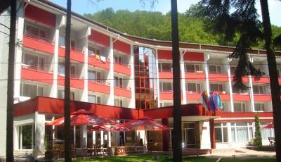 Hotel Parc Moneasa