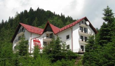 Hotel Piscu Negru Arefu
