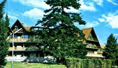 Hotel Timis Timisu de Sus