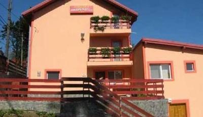 Pensiunea Panorama Muntelui Predeal