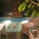 Hotel Residence Bucuresti