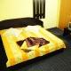 Hotel Central Craiova