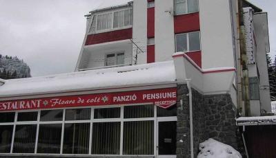 Pensiunea Floare de Colt Lacu Rosu