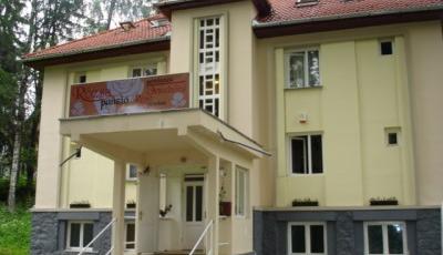 Pensiunea Trandafirul Borsec