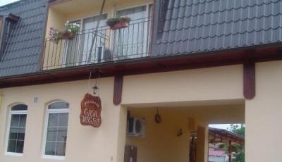 Pensiunea Casa Veche Hateg