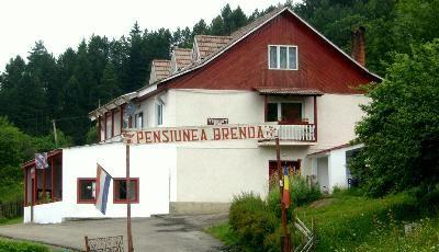 Pensiunea Brenda Ruginesti