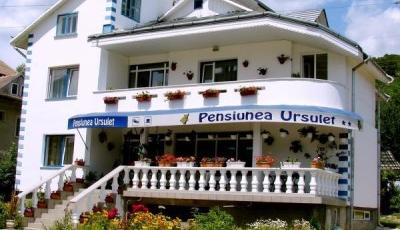 Pensiunea Ursulet Bistrita