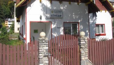 Pensiunea Ciucas Busteni