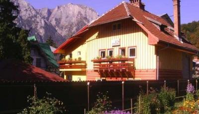 Vila Foisor Busteni