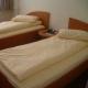 Hotel Dana I Satu Mare