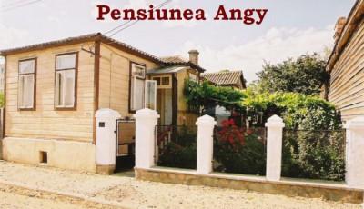 Pensiunea Angy Sulina