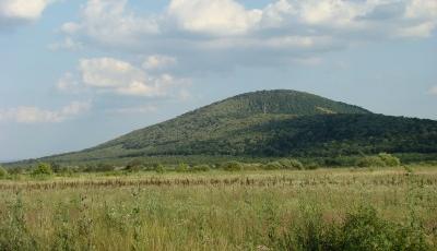 Rezervatia naturala Dealul Mocrea Arad