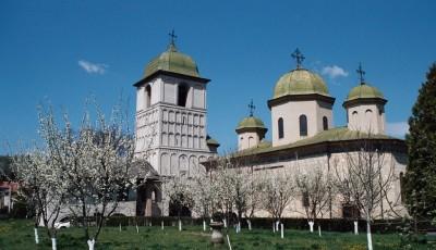 Manastirea Negru Voda Arges