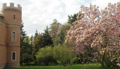 Parcul dendrologic Hemeiusi Bacau