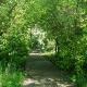 Gradina botanica din Prajesti Bacau