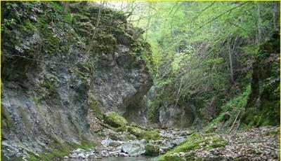 Rezervatia naturala Valea Sighistelului Bihor