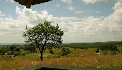 Rosia de Beius