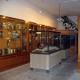 Muzeul de Stiinte Naturale Tinca Bihor