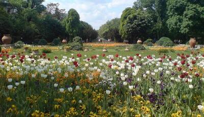 Parcul Cismigiu Bucuresti