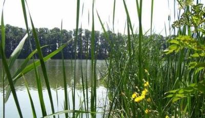 Lacul Valea RosieMitreni Calarasi