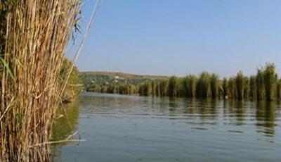 Lacul Dunareni Constanta