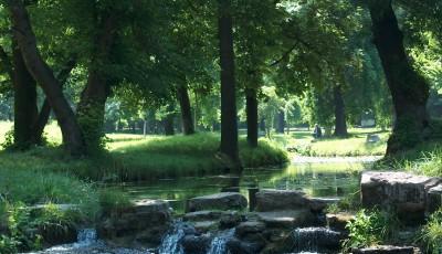 Parcul Nicolae Romanescu Dolj