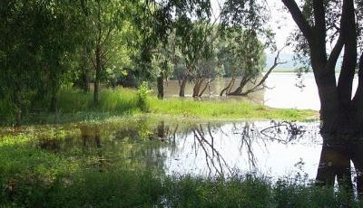 Parcul Natural Lunca Joasa a Prutului Inferior Galati