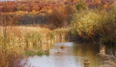 Parcul Natural Comana Giurgiu