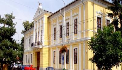Muzeul Judetean Alexandru Stefulescu Targu Jiu  Gorj