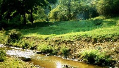 Rezervatia naturala Izvoarele Izvarnei Gorj