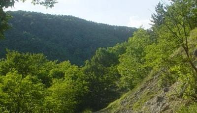 Rezervatia naturala Izvoarele minerale Sacelu Gorj