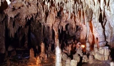 Rezervatia naturala Pestera Iedului Gorj