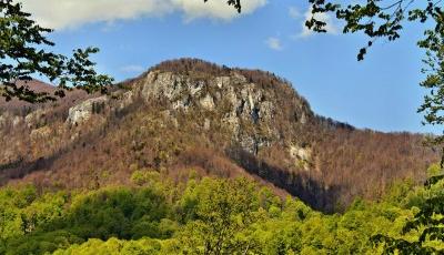 Rezervatia naturala Piatra Borostenilor Gorj