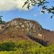 Rezervatia naturala Piatra Borostenilor Gorj