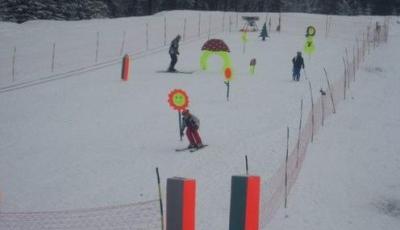 Partia Havas Bucsin din Joseni