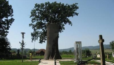 Gorunul lui Horea Hunedoara