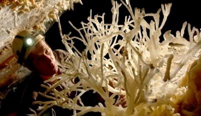 Pestera cu corali Hunedoara