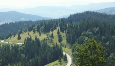 Valea Izei Maramures