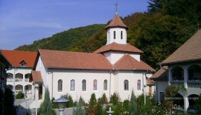 Manastirea Safantul Dimitrie Izvoratorul de Mir Mures