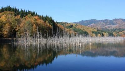 Lacul Cuiejdel (Lacul Crucii ) Neamt