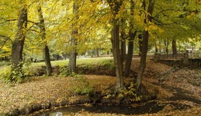 Parcul Sub Arini Sibiu