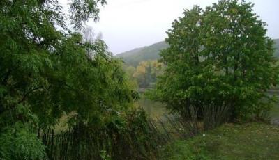 Padurea Valea Fagilor Tulcea
