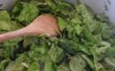Mancare de salata verde