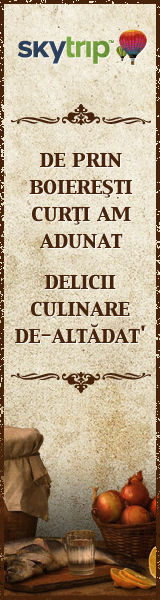 Banner Skytrip Retete