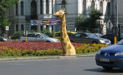 O girafa uriasa a „crescut” in Piata Universitatii din Bucuresti. Afla-i povestea! (FOTO)