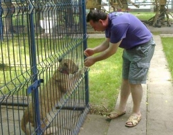 Gradina zoo, in curtea primarului din Navodari: Veverite, struti, maimute si lei (FOTO)